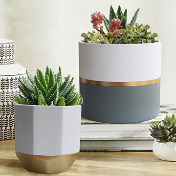 Ceramic Planters