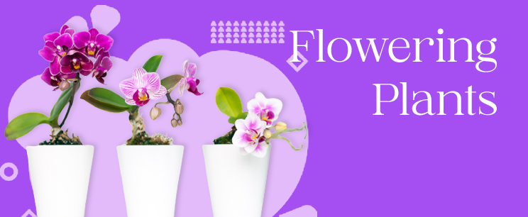 product banner