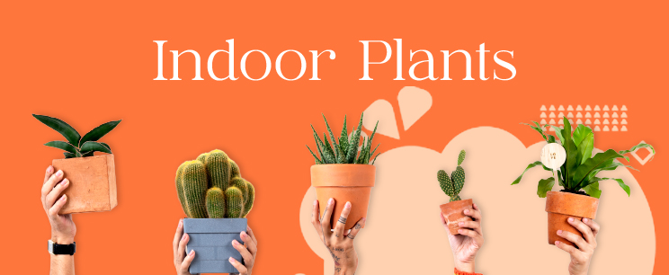 product banner